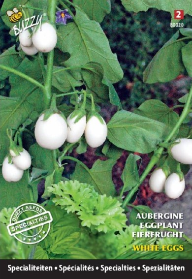 Aubergine White Eggs (Solanum) 40 zaden BU